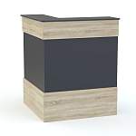 Ресепшен Рейна №4 BMS - Фото 7