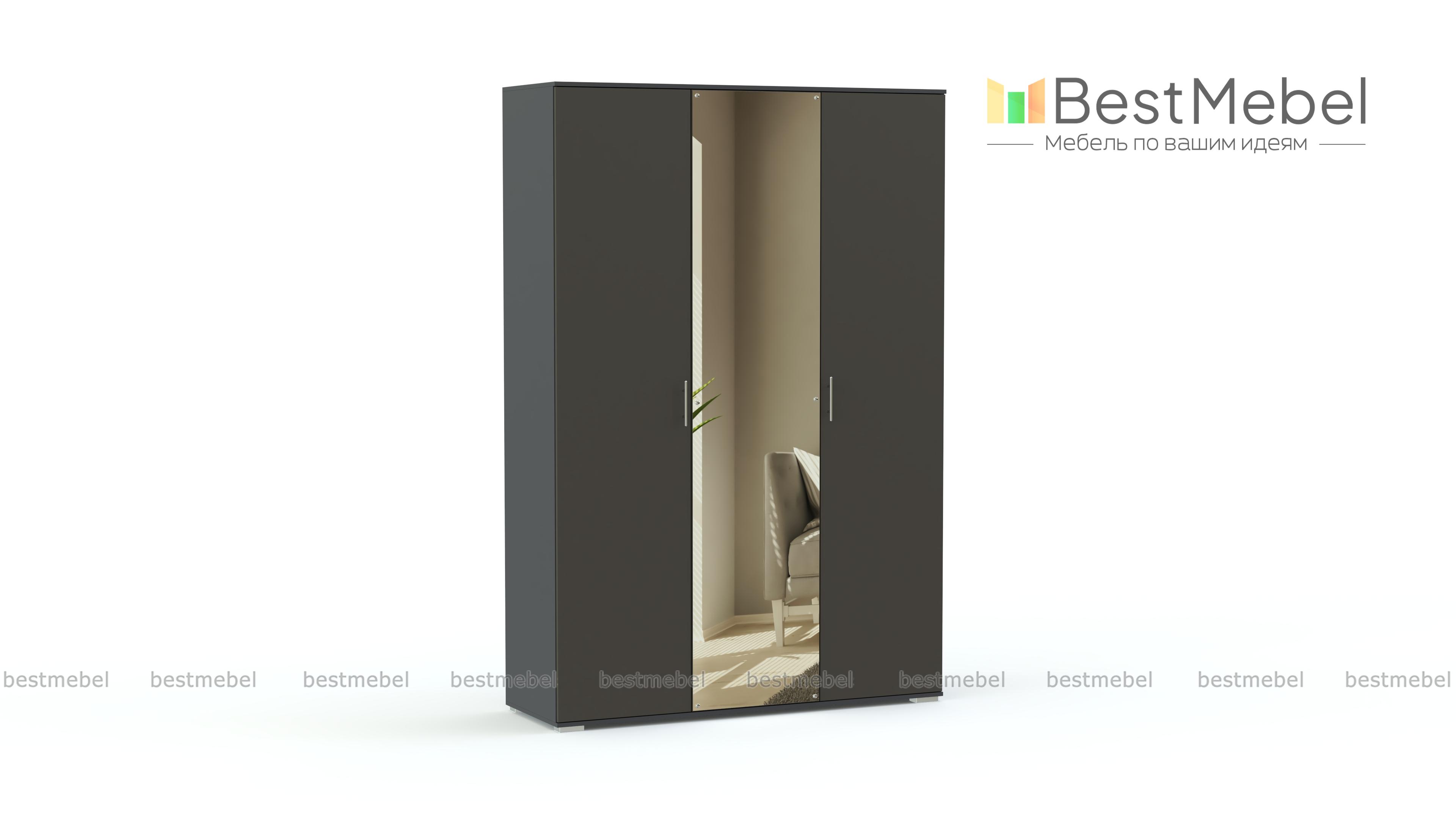 Распашной шкаф Селин BMS - Фото