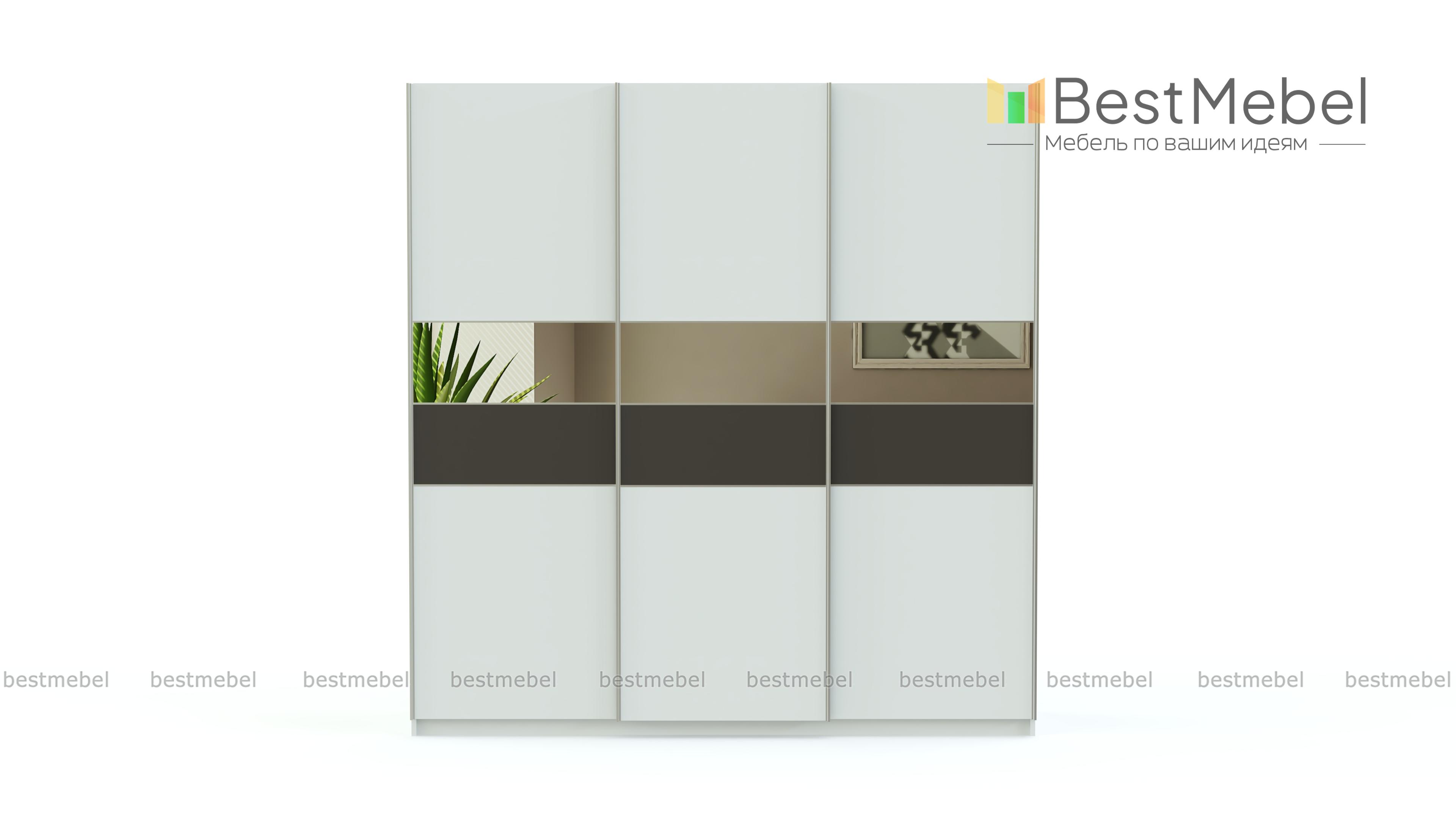 Шкаф-купе Риан 16 BMS - Фото